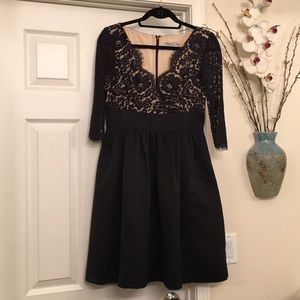 Eliza J Black and Tan lace dress